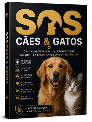 Capa do ebook